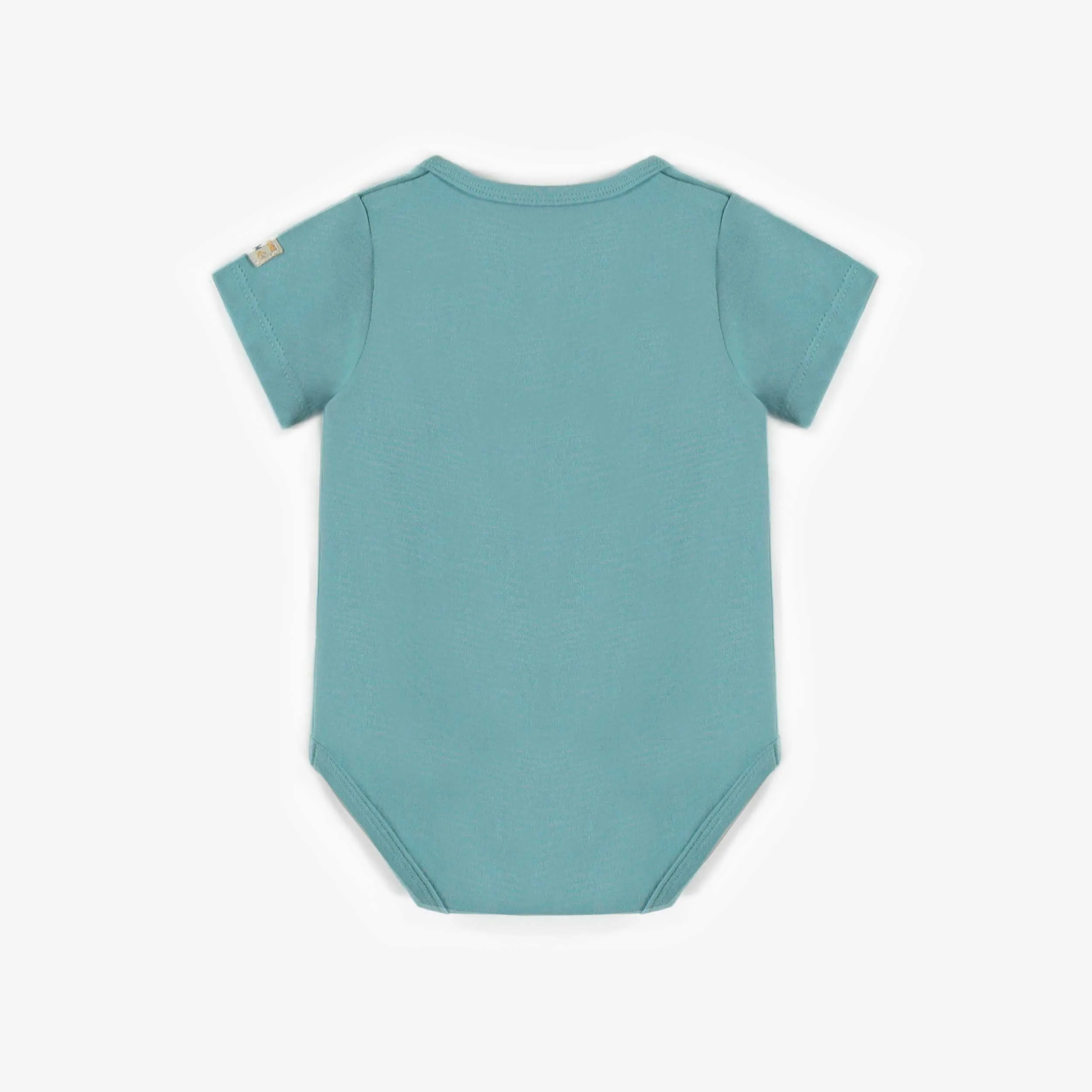 Cache-couche turquoise à manches courtes avec illustration, bébé || Turquoise short-sleeve bodysuit with illustration, baby