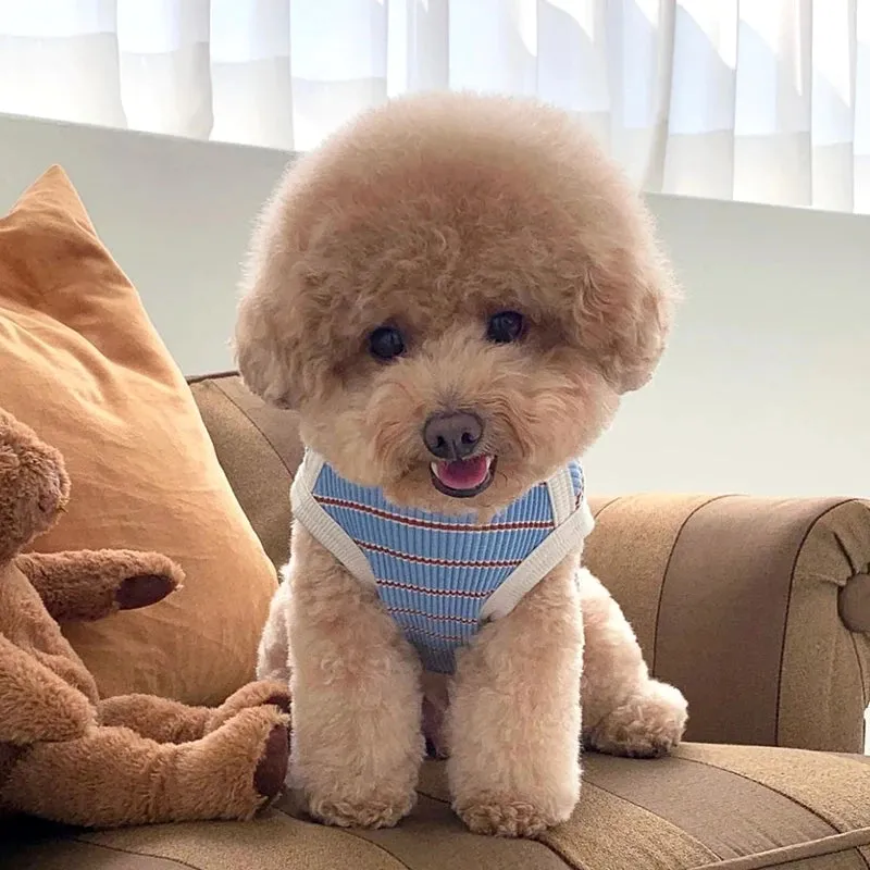 Cute Pet Vest Striped Dog Clothes