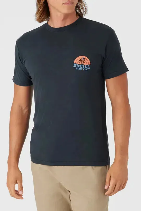 Oneill Men's Shaved Ice Tee