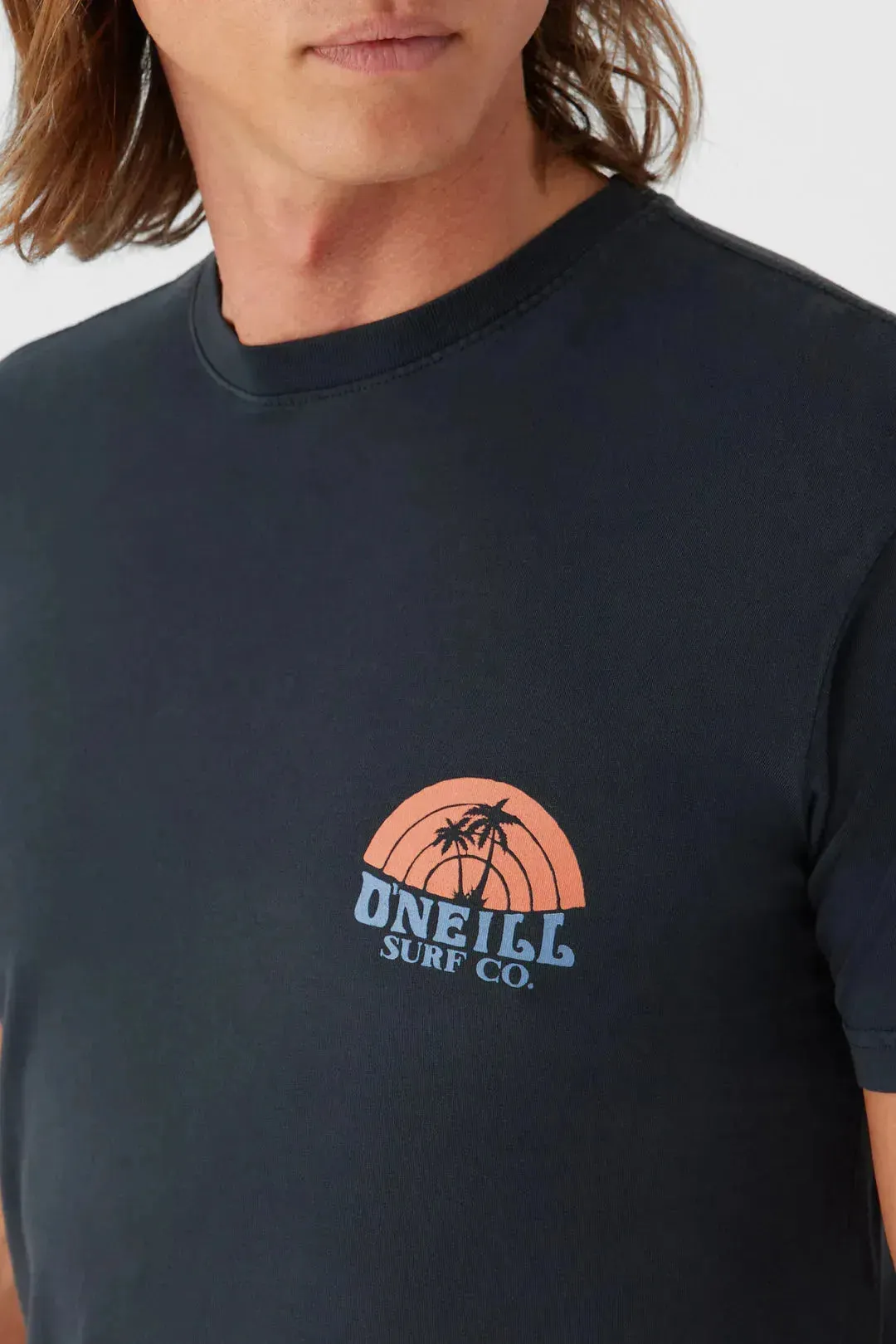 Oneill Men's Shaved Ice Tee