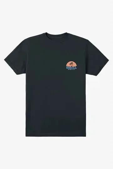 Oneill Men's Shaved Ice Tee