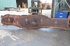 Oregon Black Walnut Slab 060220-01