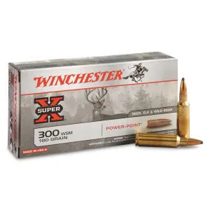Winchester Super-X 300 WSM 180 Gr. Power Point